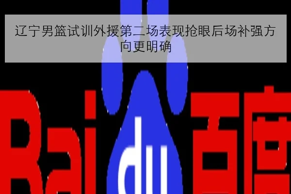 辽宁男篮试训外援第二场表现抢眼后场补强方向更明确